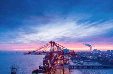 青島海運(yùn)：智能物流該如何揚(yáng)長避短