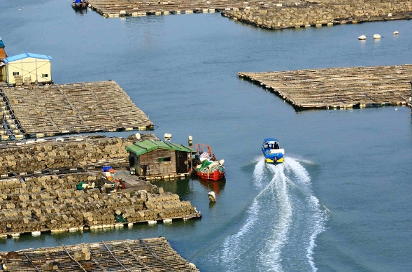 天津貨代行業(yè)在發(fā)展過程中，逐漸形成了獨(dú)特的服務(wù)特色和優(yōu)勢(shì)