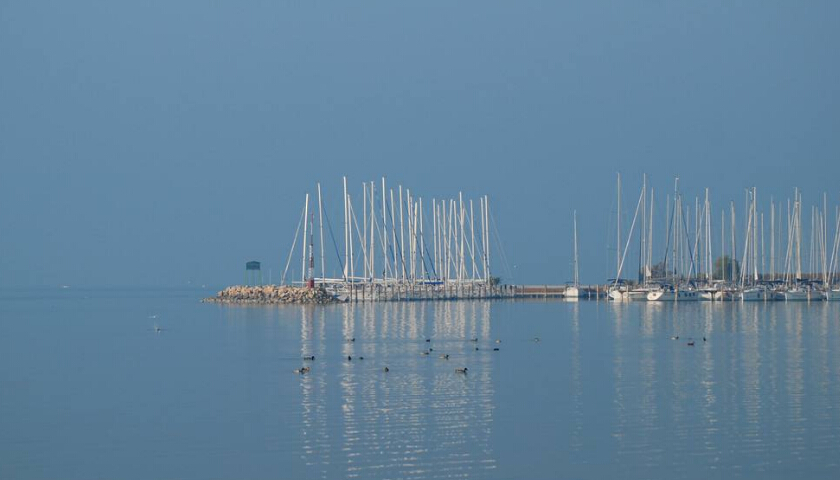 進口報關(guān)公司