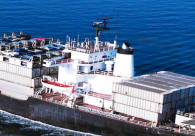 上海貨代：抓住機(jī)遇，應(yīng)對(duì)挑戰(zhàn)，創(chuàng)造價(jià)值