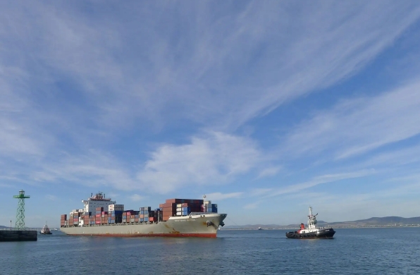 國(guó)內(nèi)海運(yùn)公司在全球化時(shí)代具有重要的地位和作用，面臨著挑戰(zhàn)和機(jī)遇