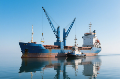 國際物流貨運(yùn)：農(nóng)產(chǎn)品進(jìn)口的定制化專家