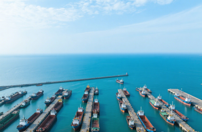 國際貨物運(yùn)輸代理公司：咖啡進(jìn)口的全程護(hù)航者