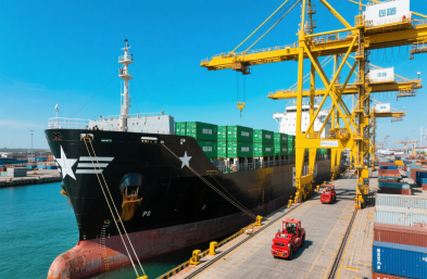 國際海運物流公司：高效運輸，縮短木材出口時空距離