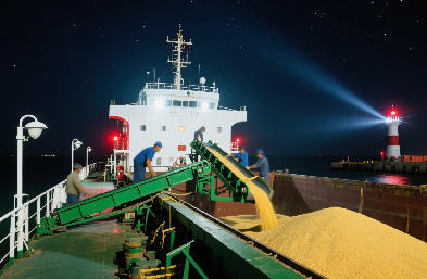 國際貨運代理：海運 / 空運 / 陸運全航線，訂艙到派送一站搞定